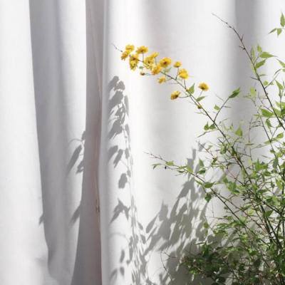 环球体育官网下载