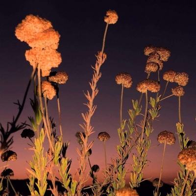 6566体育下载手机版